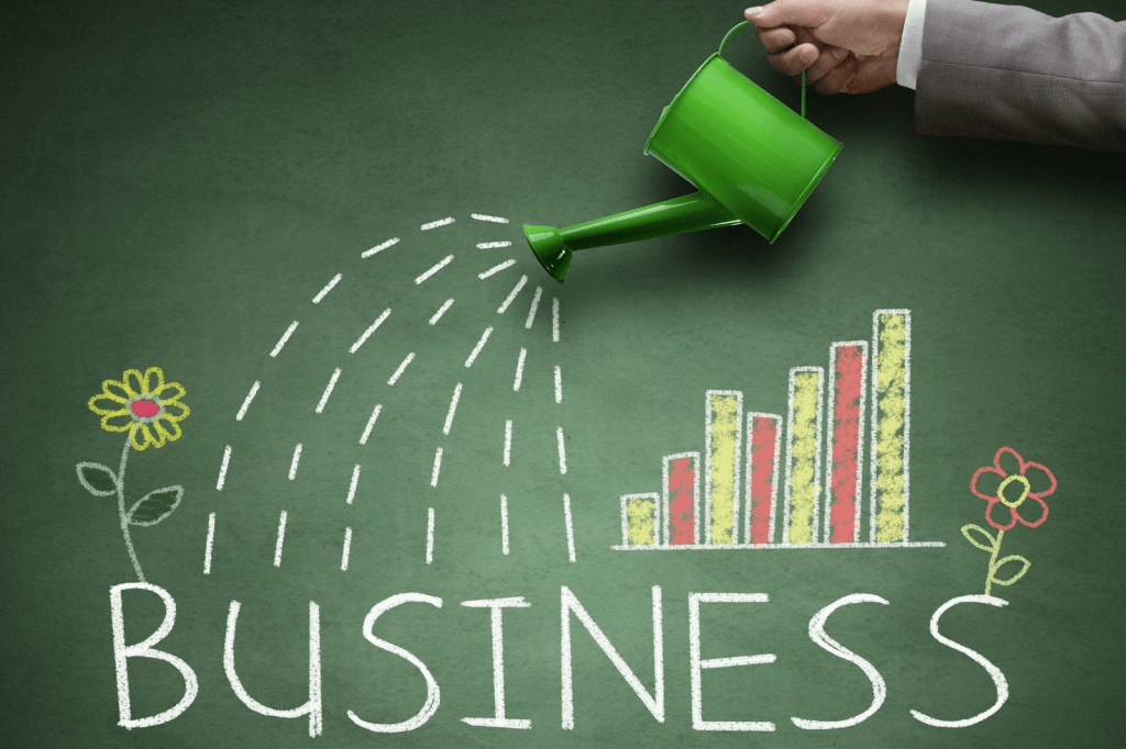 Strategies for Small Business Growth